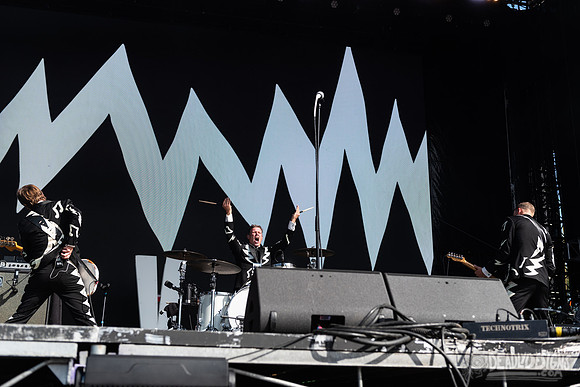The Hives