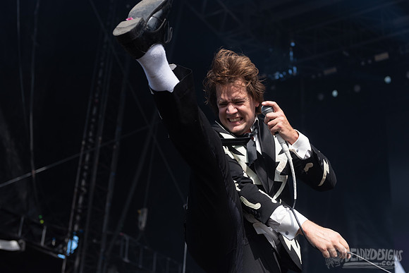 The Hives
