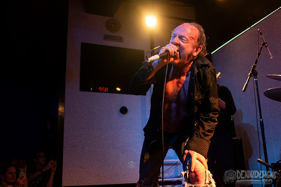 The Jesus Lizard