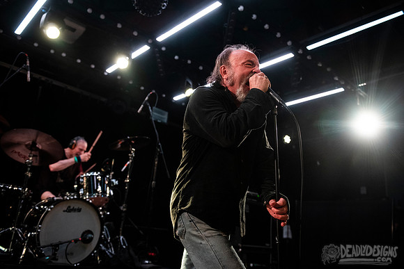 The Jesus Lizard