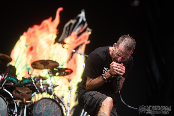 Lamb of God
