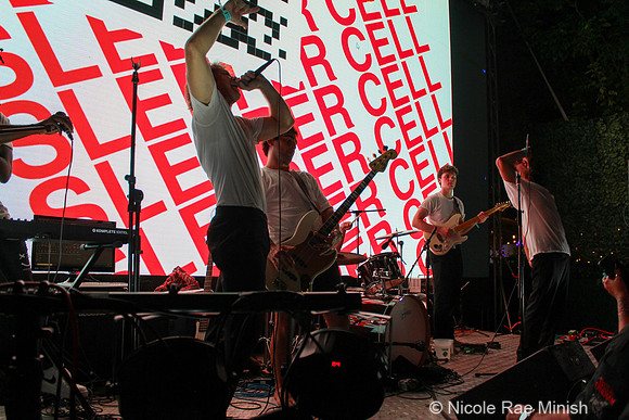 Sleeper Cell (by Nicole Rae Minish)