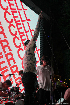 Sleeper Cell (by Nicole Rae Minish)