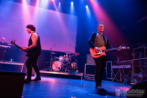 The Chameleons