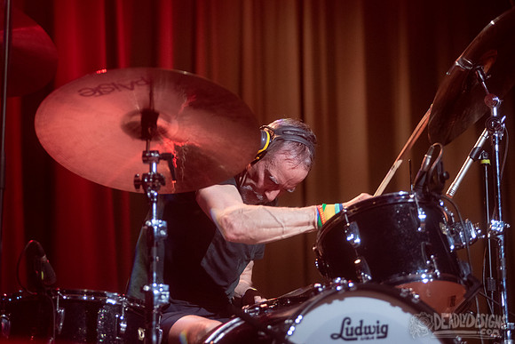 The Jesus Lizard