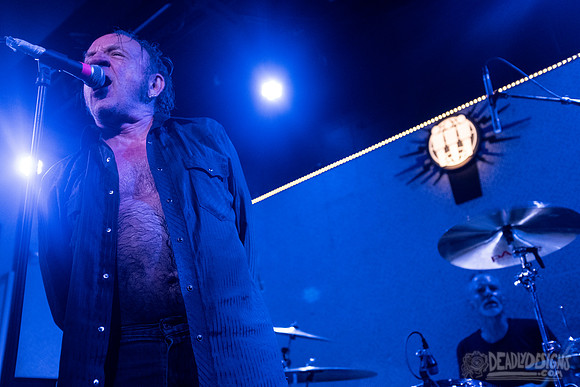 The Jesus Lizard