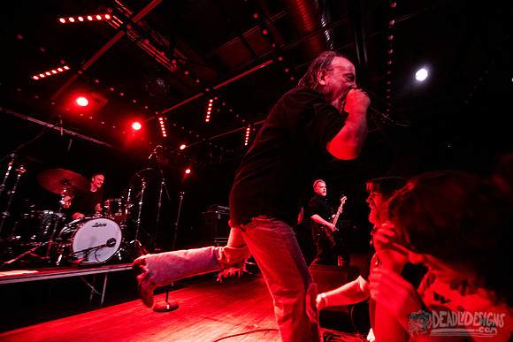 The Jesus Lizard