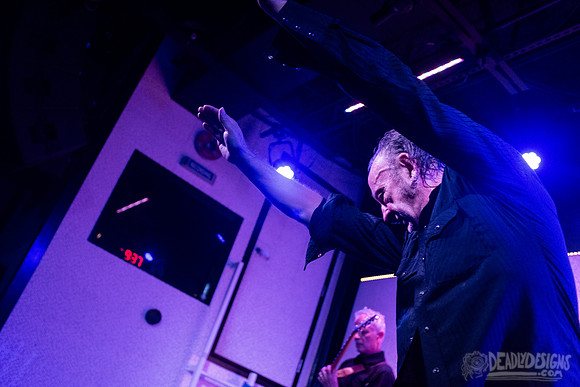 The Jesus Lizard