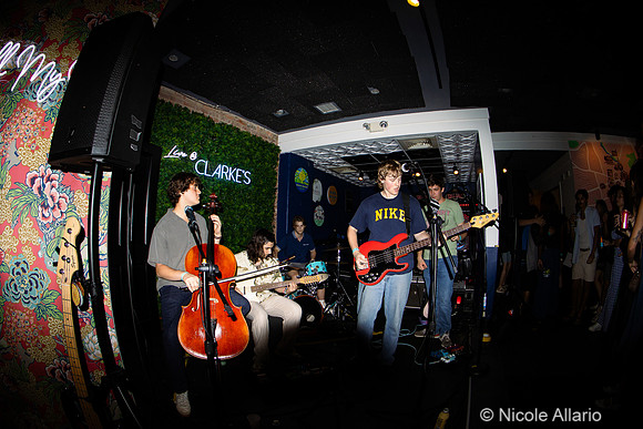 The Downstairs (by Nicole Allario)