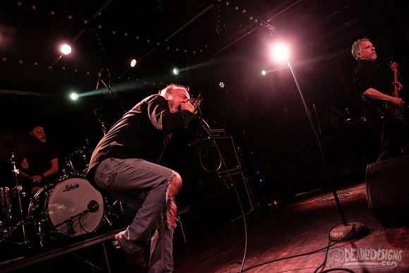 The Jesus Lizard