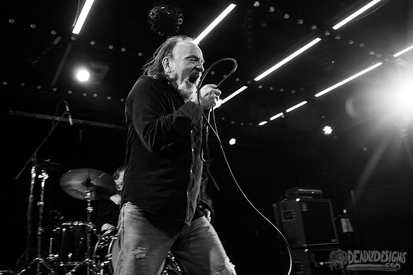 The Jesus Lizard