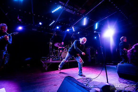 The Jesus Lizard