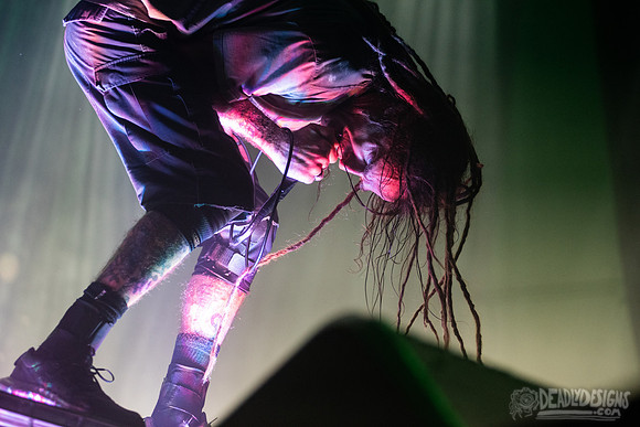 Lamb of God