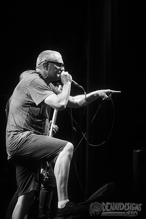 Descendents