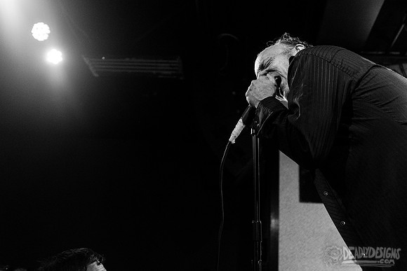 The Jesus Lizard