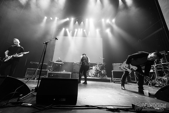 The Chameleons