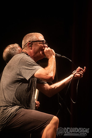 Descendents