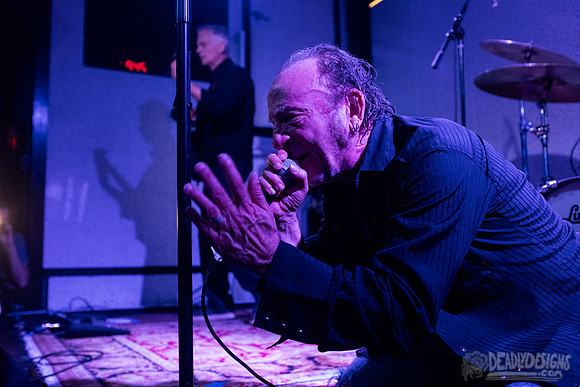 The Jesus Lizard