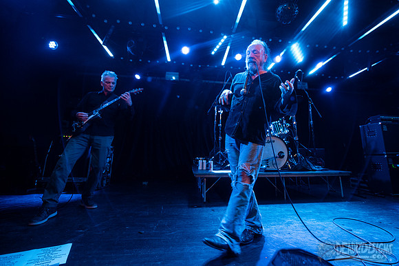 The Jesus Lizard