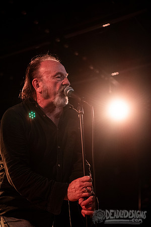 The Jesus Lizard