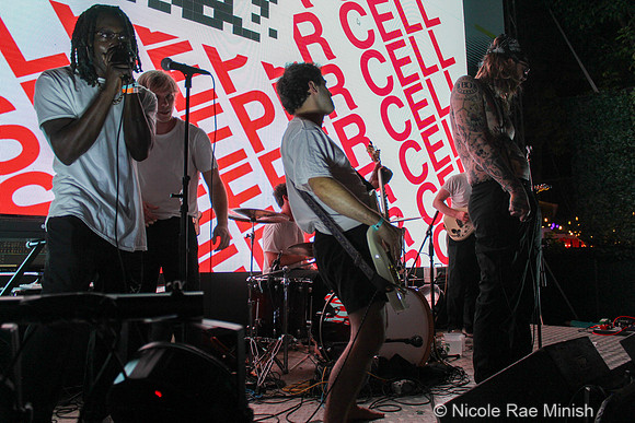 Sleeper Cell (by Nicole Rae Minish)