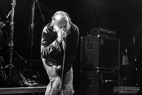 The Jesus Lizard