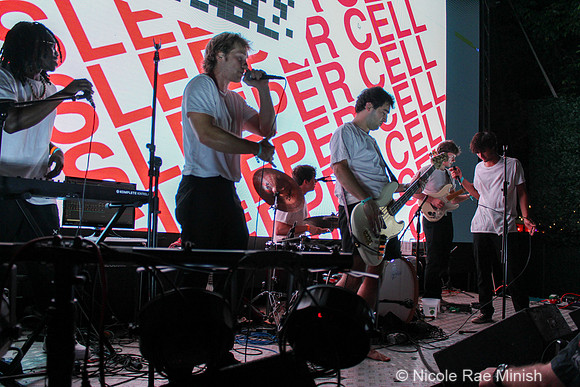 Sleeper Cell (by Nicole Rae Minish)