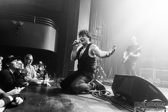 The Chameleons