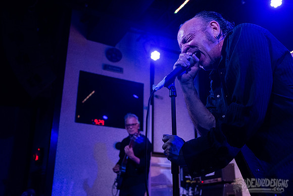 The Jesus Lizard