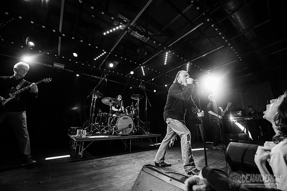 The Jesus Lizard