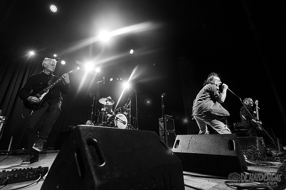 The Jesus Lizard