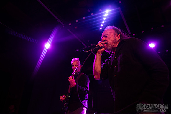 The Jesus Lizard