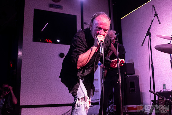 The Jesus Lizard