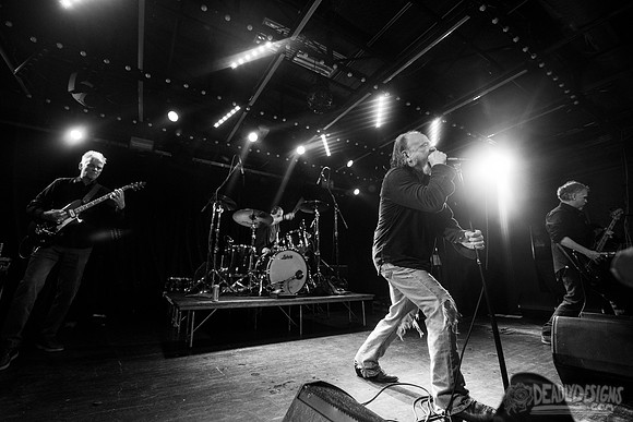 The Jesus Lizard