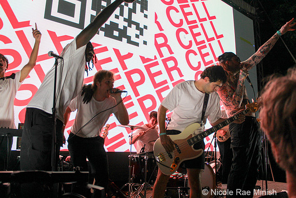 Sleeper Cell (by Nicole Rae Minish)