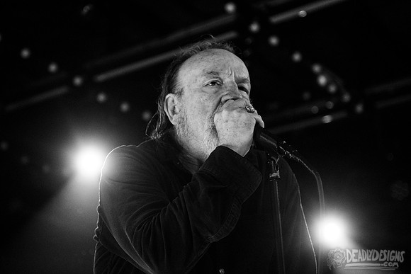 The Jesus Lizard