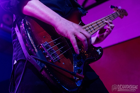 The Jesus Lizard