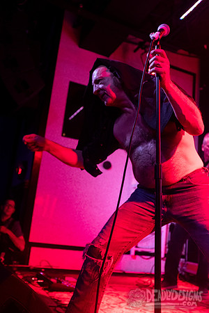 The Jesus Lizard