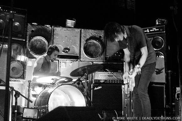 Summerbirds in the Cellar