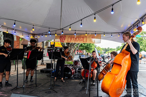 Clarke Central Honors Chamber Strings