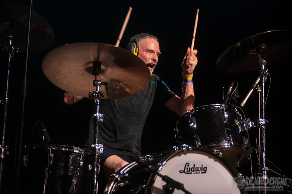The Jesus Lizard