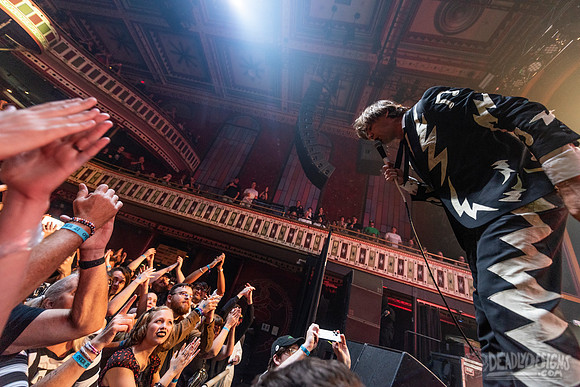 The Hives